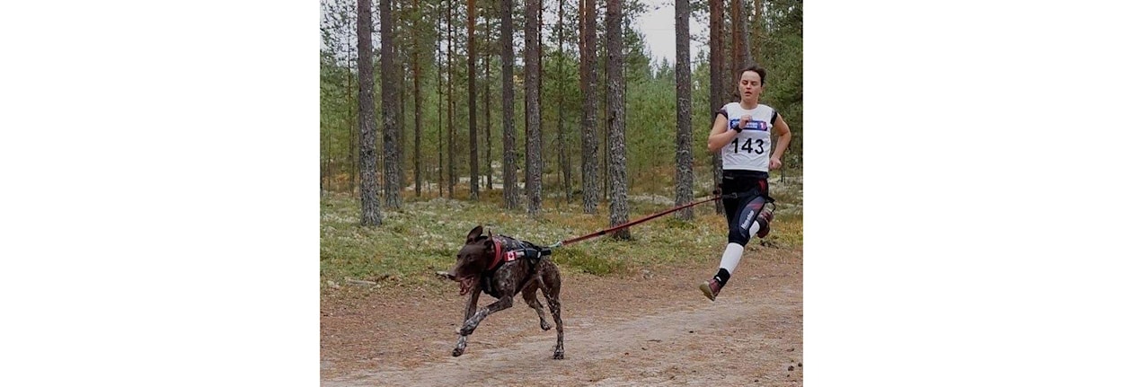 Webinar: Hvordan bli god til å løpe med hund! - Med Tessa Phillipaerts
